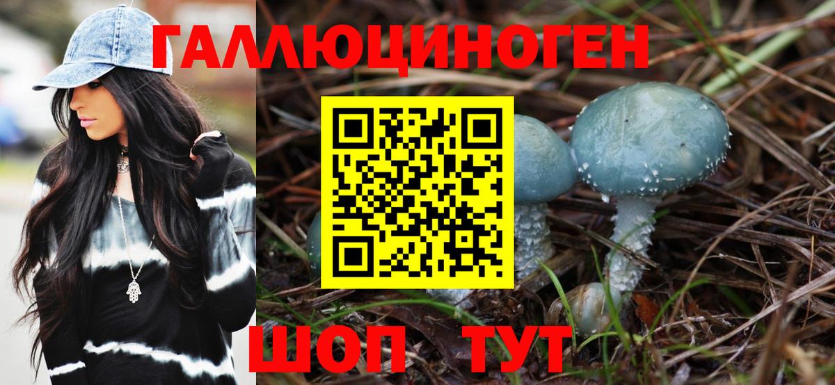 Галлюциногенные грибы прущие грибы Каспийск