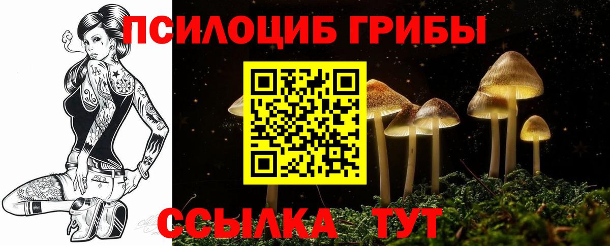 Каспийск  Галлюциногенные грибы мицелий  Вход с VPN 